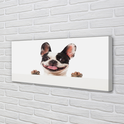 Quadro em tela Cachorro