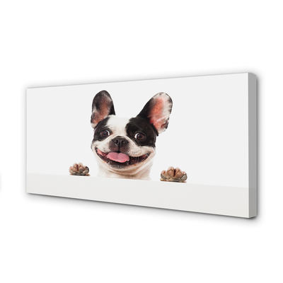 Quadro em tela Cachorro