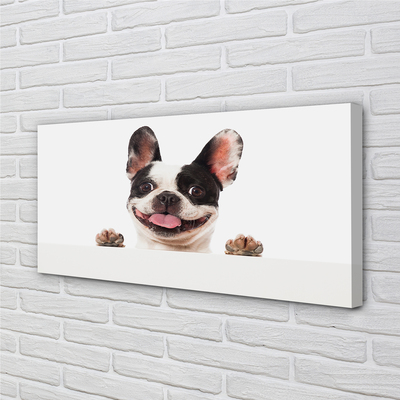 Quadro em tela Cachorro