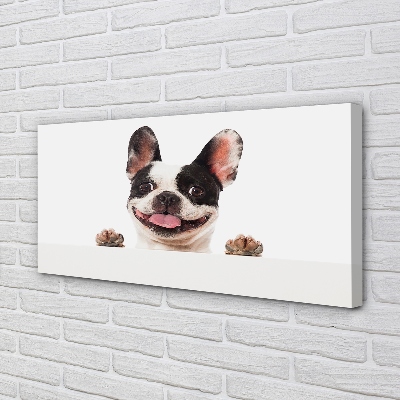 Quadro em tela Cachorro