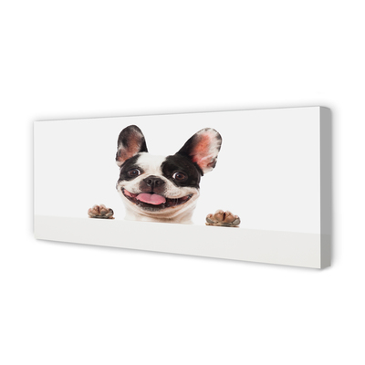 Quadro em tela Cachorro