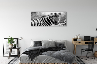 Quadro em tela Zebra retrô