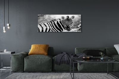 Quadro em tela Zebra retrô