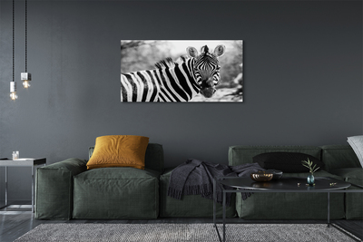 Quadro em tela Zebra retrô