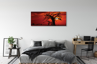 Quadro em tela Árvores nuvens céu