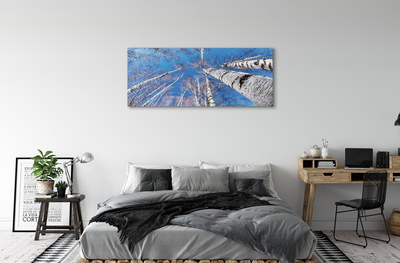 Quadro em tela Céu de bétula