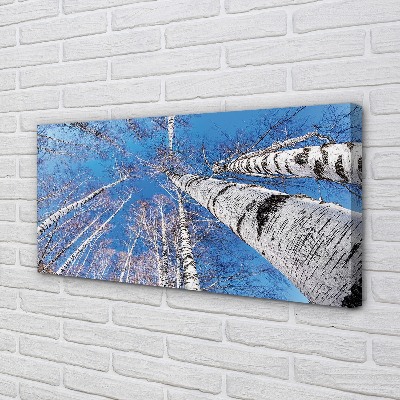Quadro em tela Céu de bétula