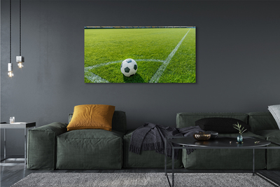 Pintura em tela Grama de estádio