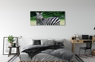 Pintura em tela Campo de zebras