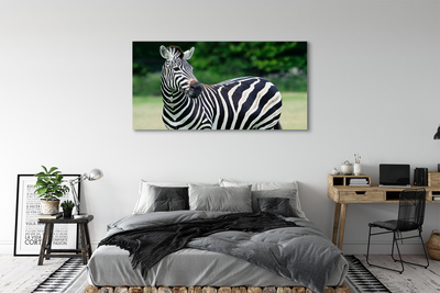 Pintura em tela Campo de zebras