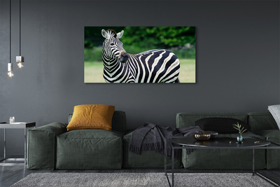 Pintura em tela Campo de zebras