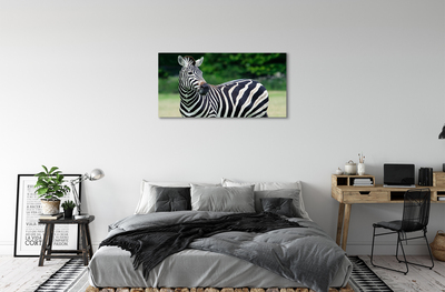 Pintura em tela Campo de zebras
