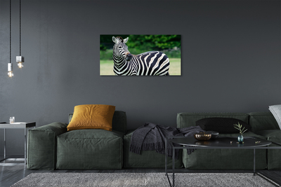 Pintura em tela Campo de zebras