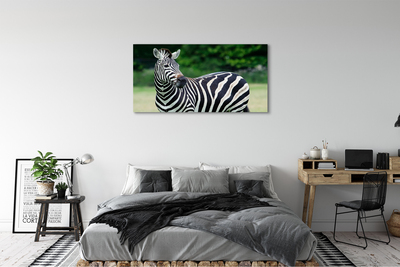 Pintura em tela Campo de zebras