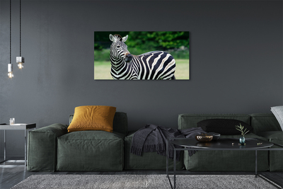 Pintura em tela Campo de zebras