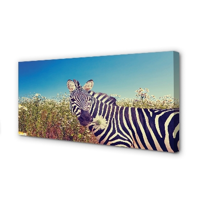 Quadro em tela Flores de zebra
