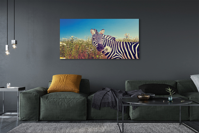 Quadro em tela Flores de zebra