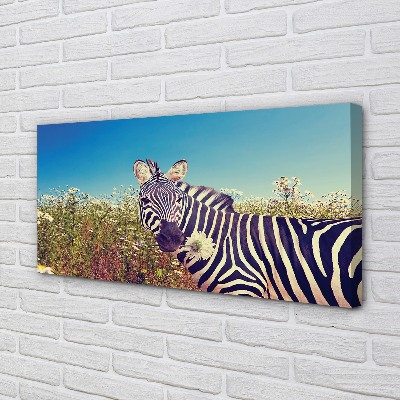 Quadro em tela Flores de zebra