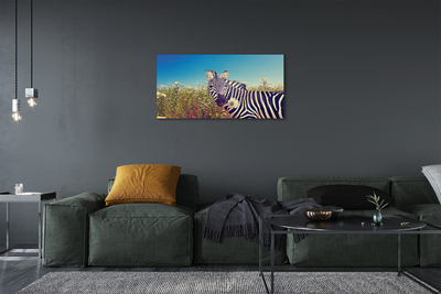Quadro em tela Flores de zebra