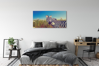 Quadro em tela Flores de zebra