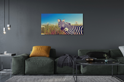 Quadro em tela Flores de zebra