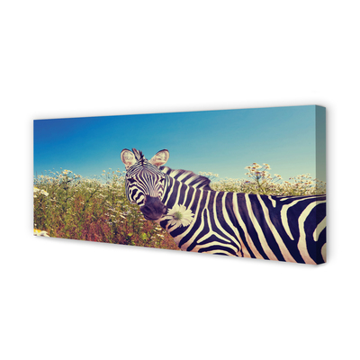 Quadro em tela Flores de zebra