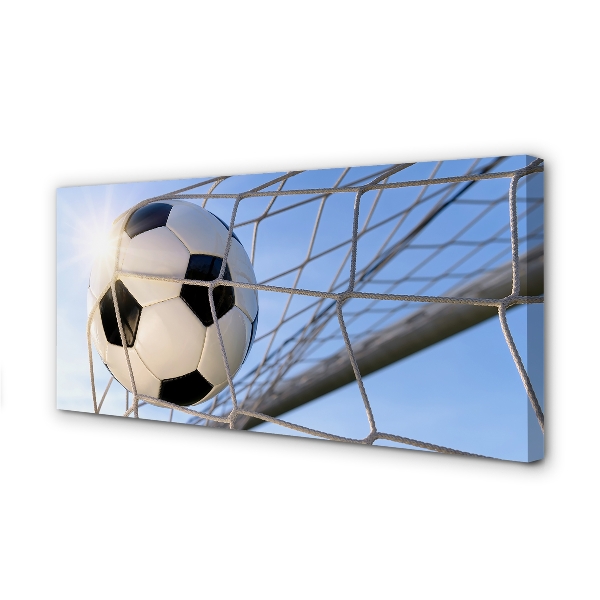 Pintura em tela Rede de bolas céu