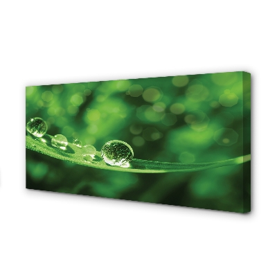 Quadro em tela Macro gotas de água
