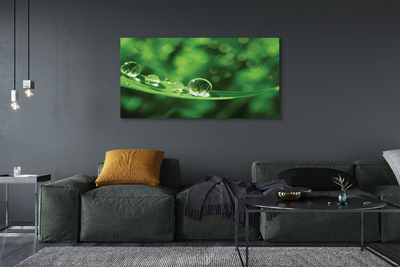 Quadro em tela Macro gotas de água