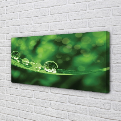 Quadro em tela Macro gotas de água