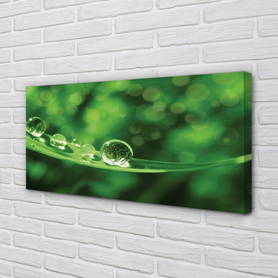Quadro em tela Macro gotas de água