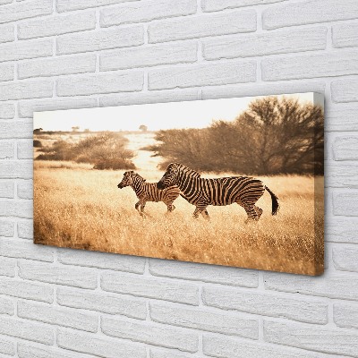 Pintura em tela Pôr do sol no campo de zebras