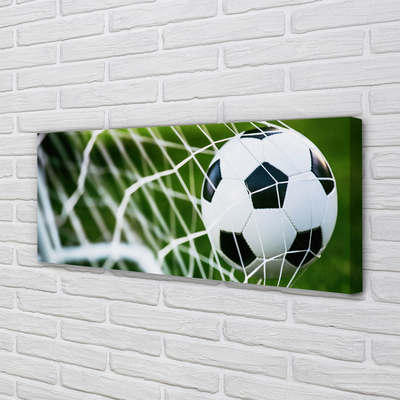 Pintura em tela Bola de gol