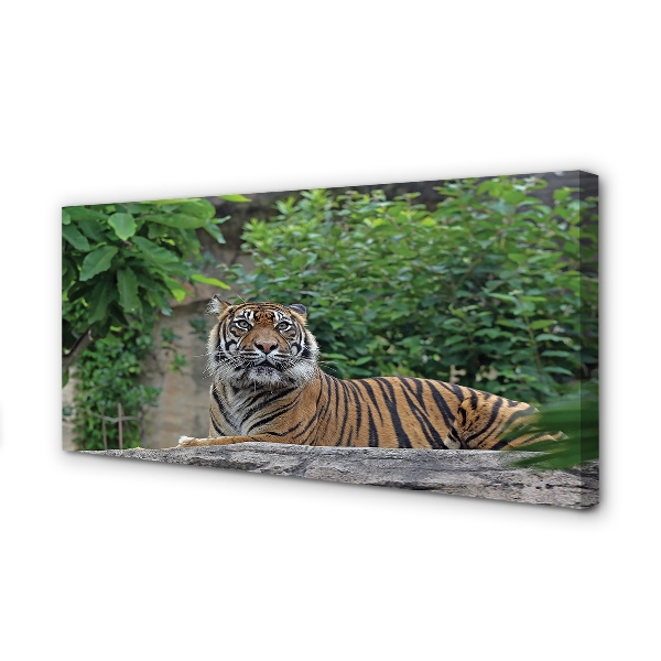 Quadro em tela Floresta do Tigre