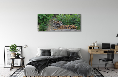 Quadro em tela Floresta do Tigre