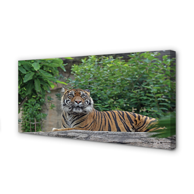 Quadro em tela Floresta do Tigre