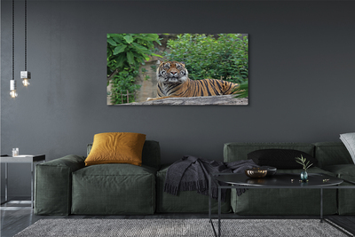 Quadro em tela Floresta do Tigre