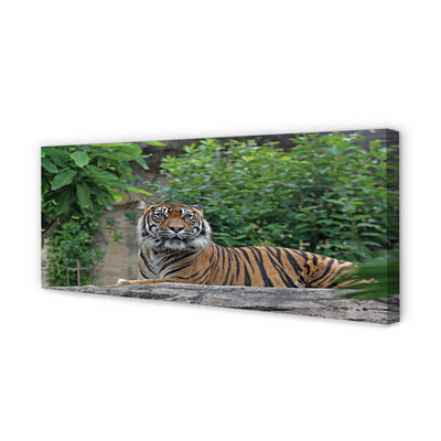 Quadro em tela Floresta do Tigre