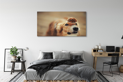 Pintura em tela Bolinho de cachorro