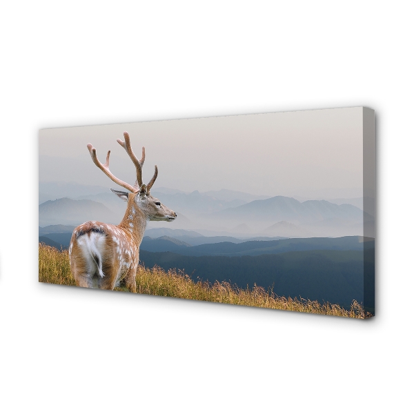 Quadro em tela Veado das Montanhas