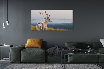 Quadro em tela Veado das Montanhas