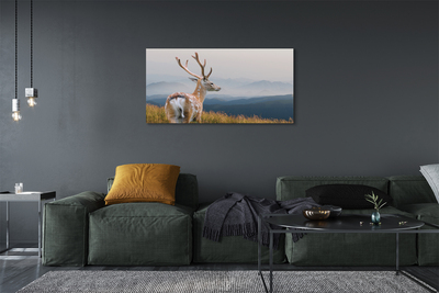 Quadro em tela Veado das Montanhas