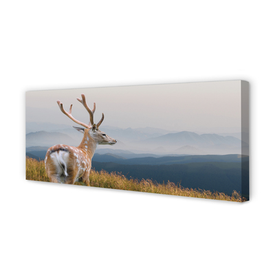 Quadro em tela Veado das Montanhas