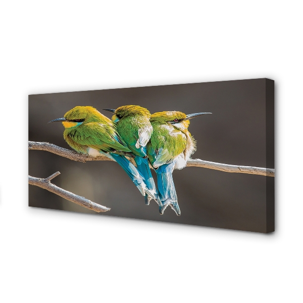 Pintura em tela Pássaros em um galho