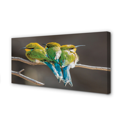 Pintura em tela Pássaros em um galho