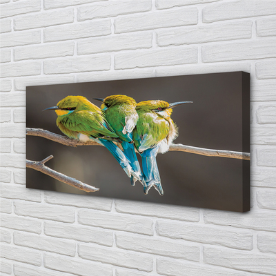 Pintura em tela Pássaros em um galho