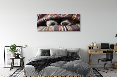 Quadro em tela Cães dormindo