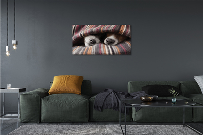 Quadro em tela Cães dormindo