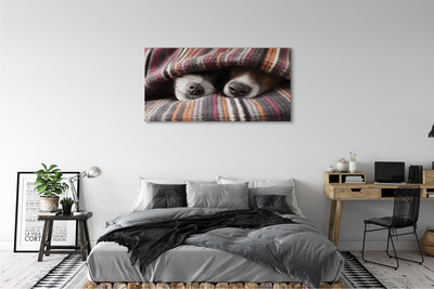 Quadro em tela Cães dormindo