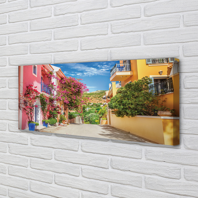 Pintura em tela Grécia Flores edifícios montanha